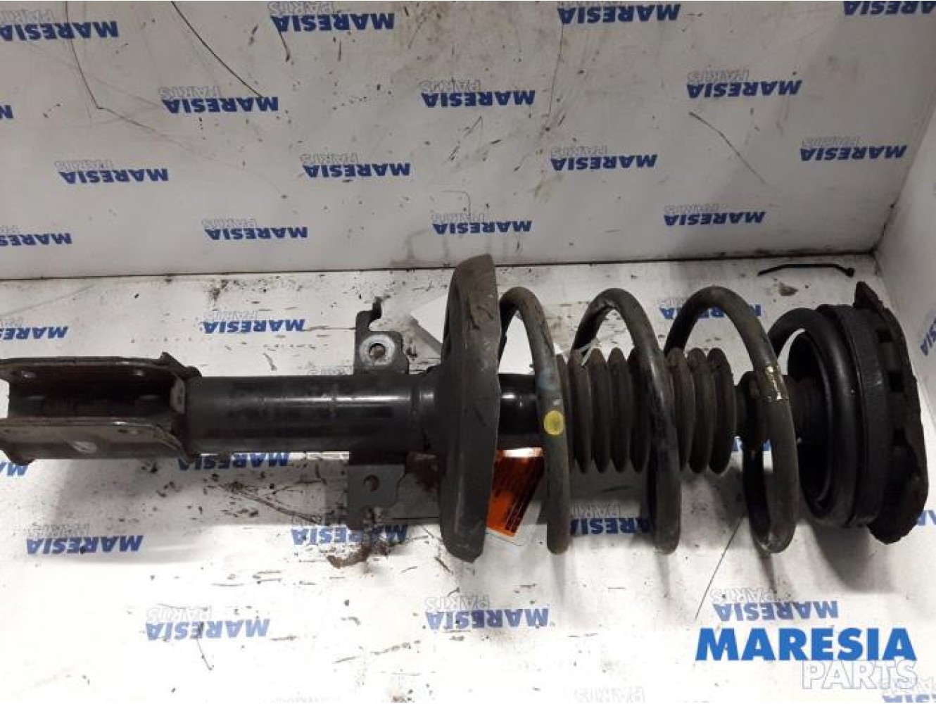 Renault - Megane Scenic - Front shock absorber rod, right
