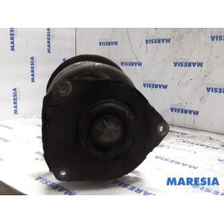 Renault - Megane Scenic - Front shock absorber rod, right