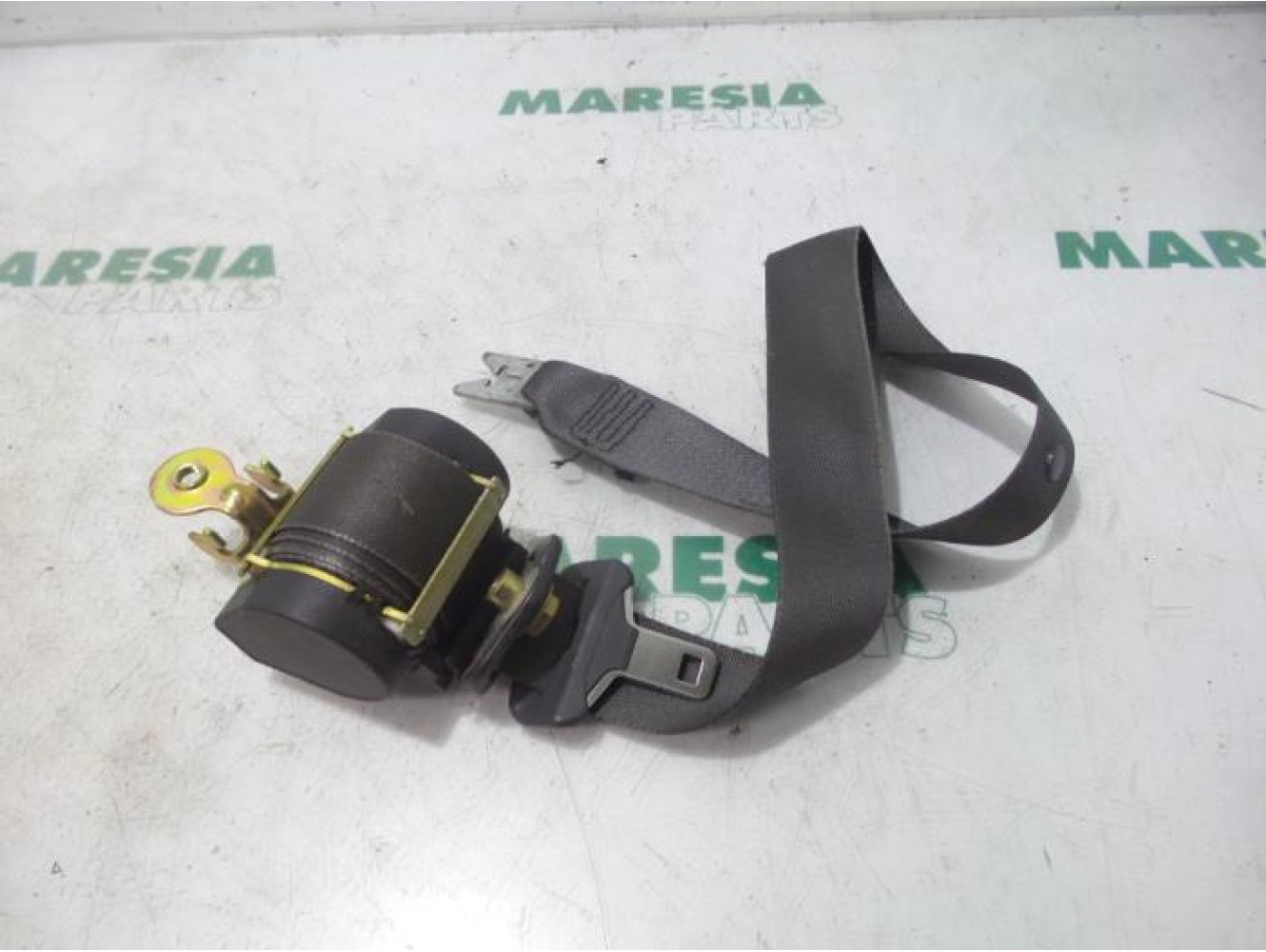 Renault - Megane Scenic - Sicherheitsgurt links vorne