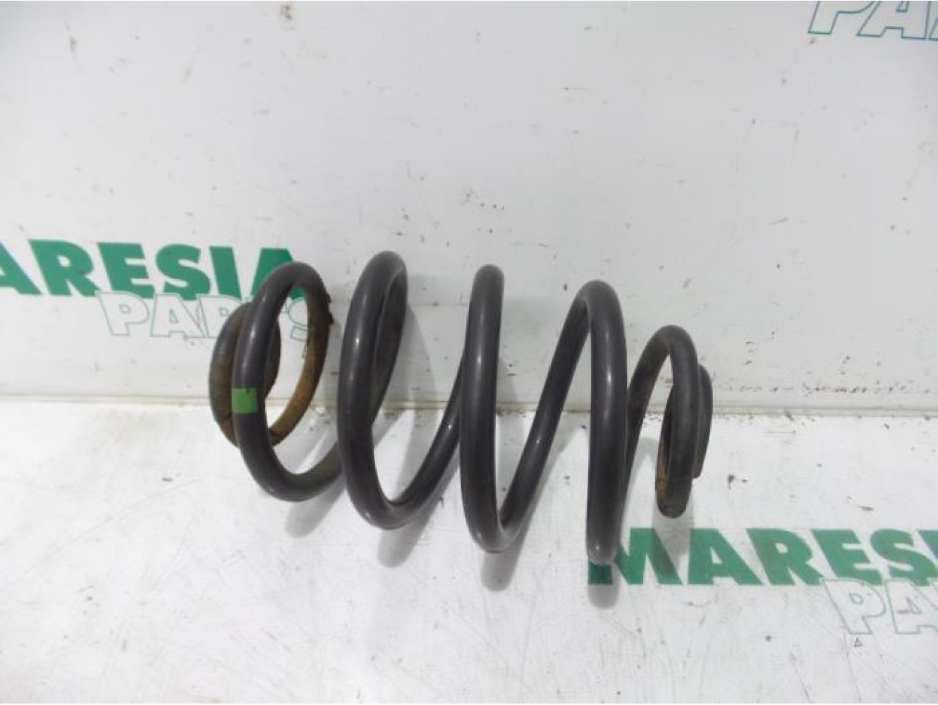 Renault - Clio - Rear coil spring