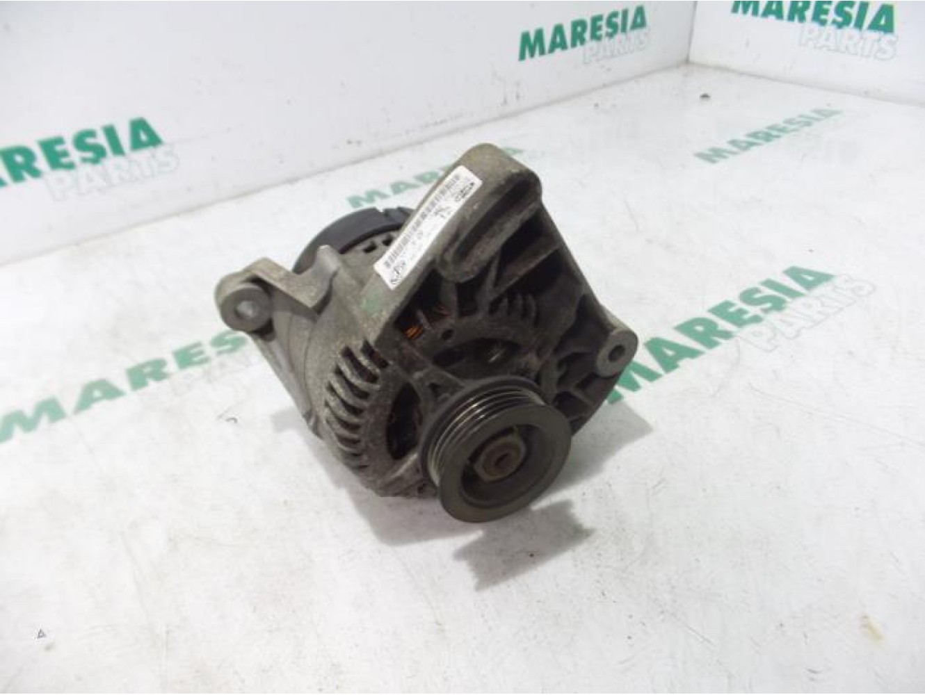 Fiat - Punto - Dynamo