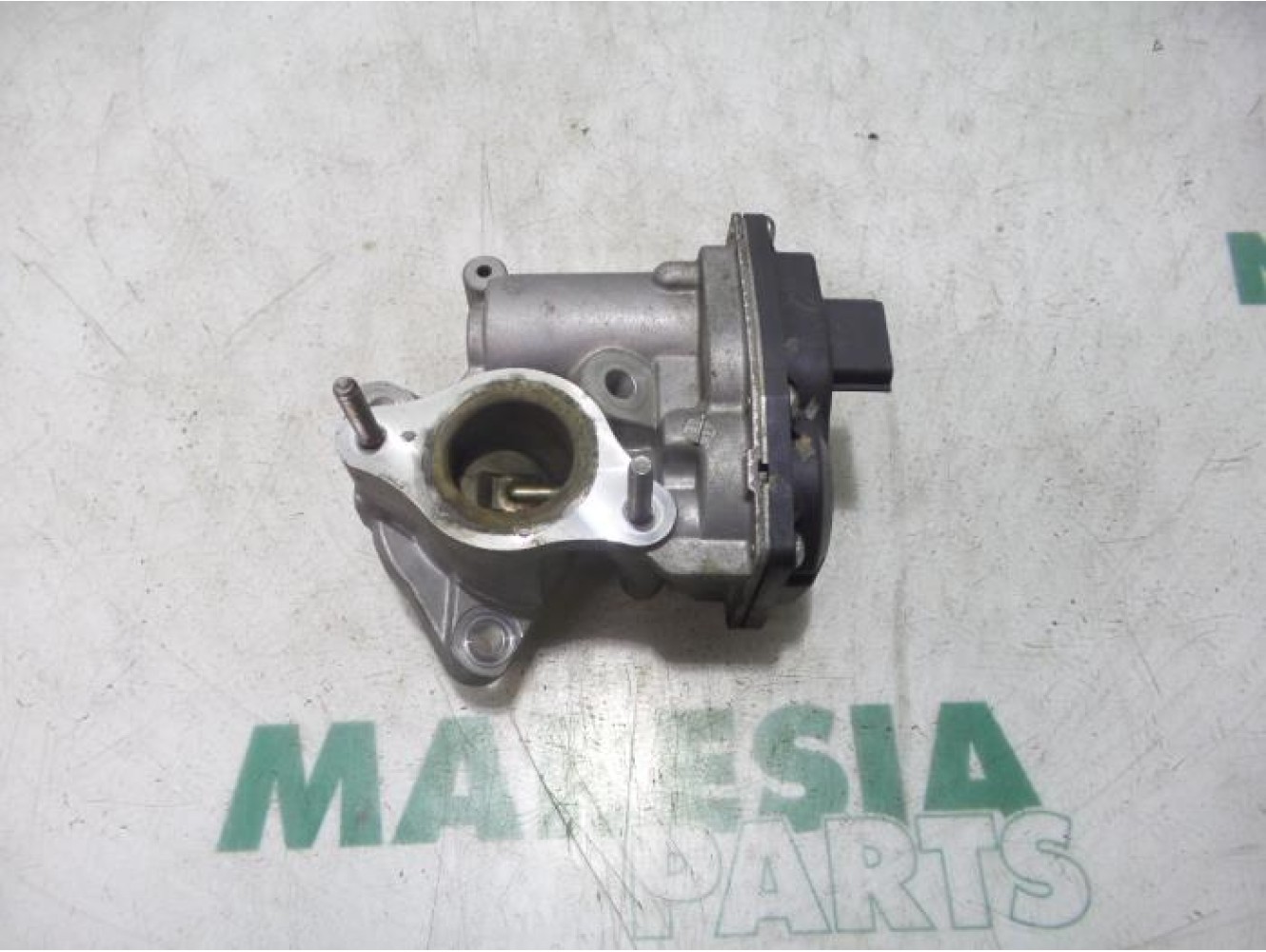 Renault - Megane - EGR valve