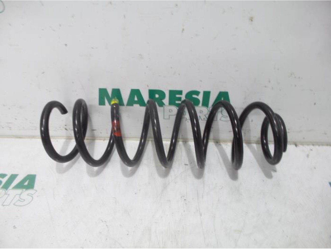 Renault - Megane - Rear coil spring