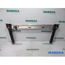 Renault - Megane - Radiator bar