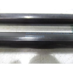 Renault - Megane - Set Gasdempers Achterklep