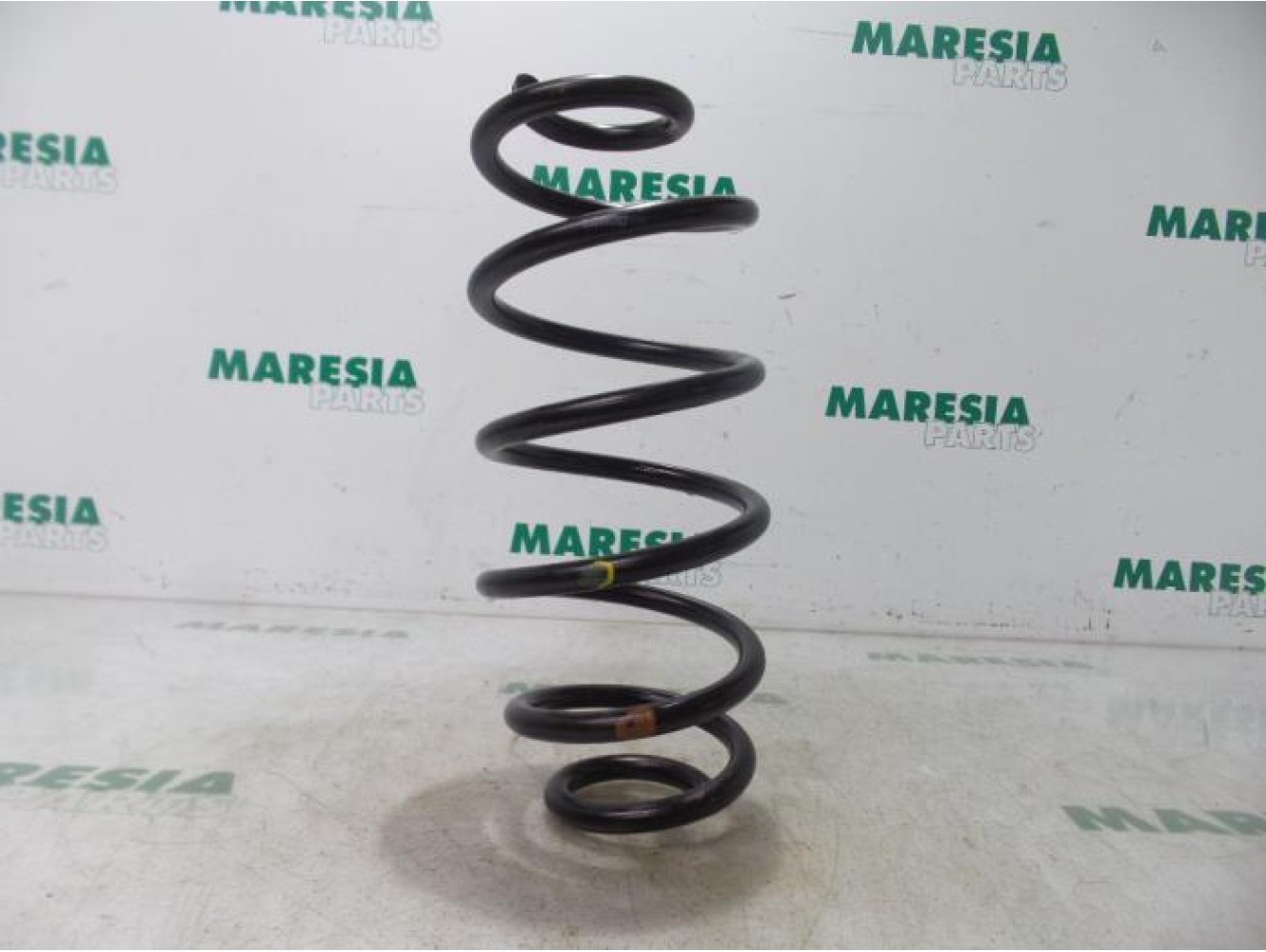 Fiat - Doblo - Rear coil spring