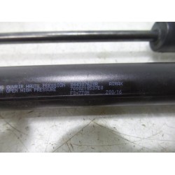 Renault - Clio - Set of tailgate gas struts