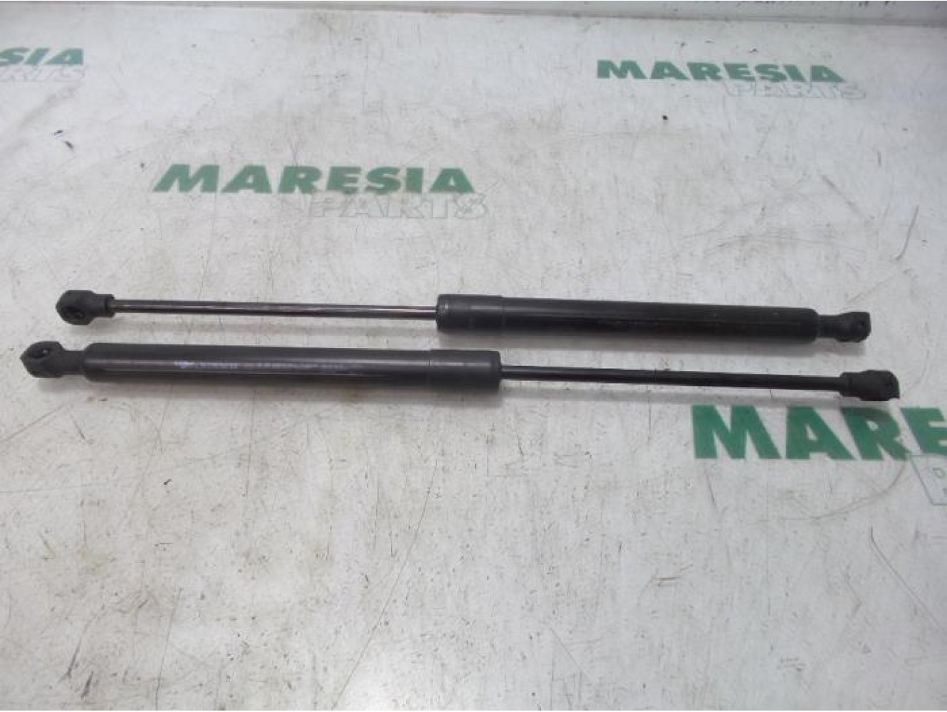 Renault - Clio - Set of tailgate gas struts