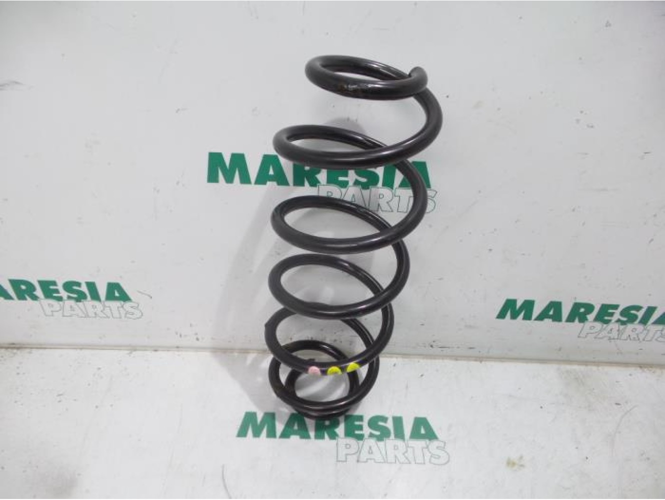 Fiat - Doblo - Rear coil spring