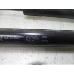 Renault - Clio - Set of tailgate gas struts