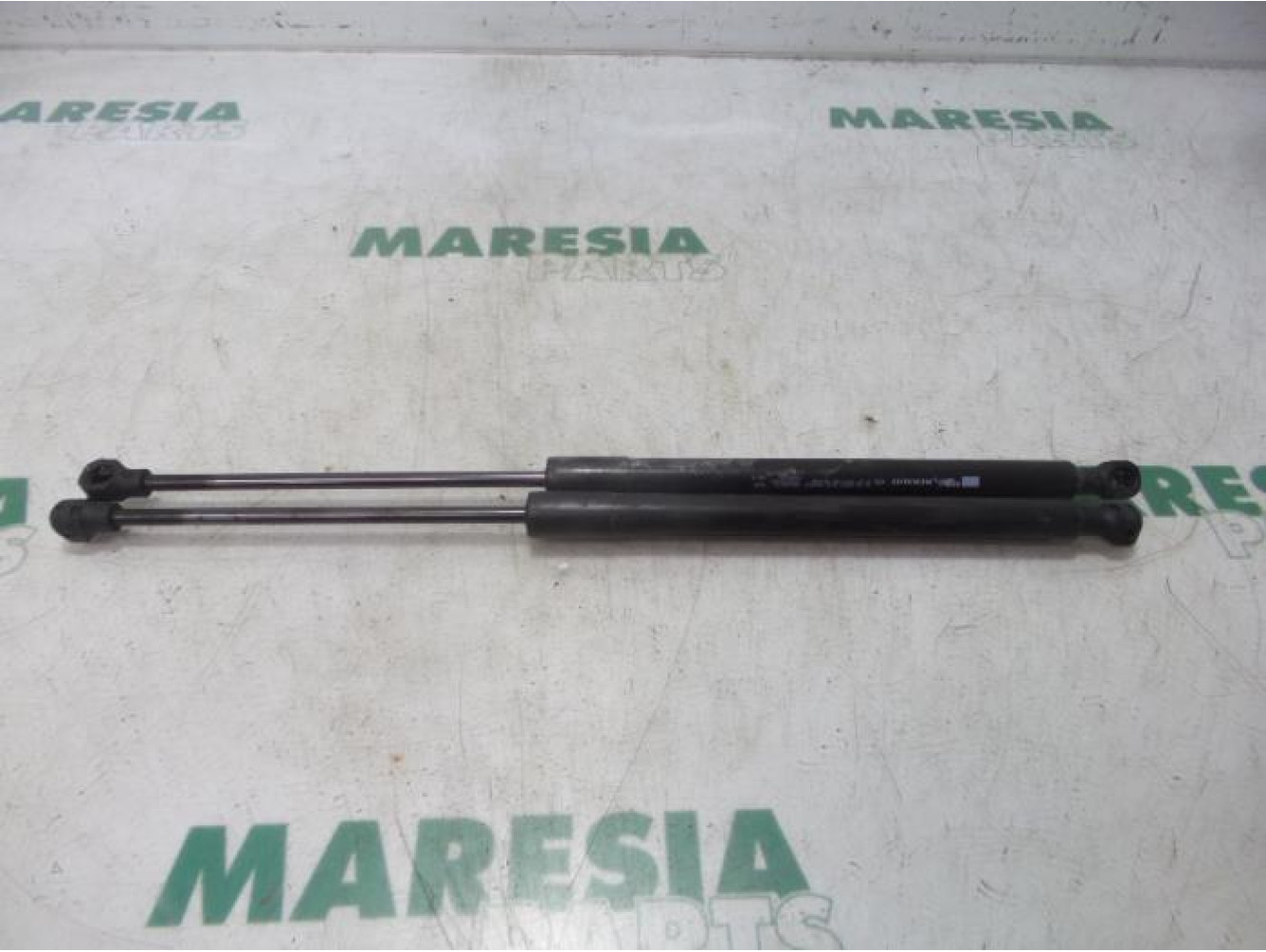 Renault - Clio - Set of tailgate gas struts