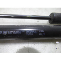 Renault - Clio - Set of tailgate gas struts
