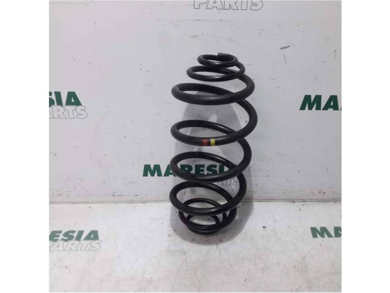 Renault - Kangoo - Rear coil spring