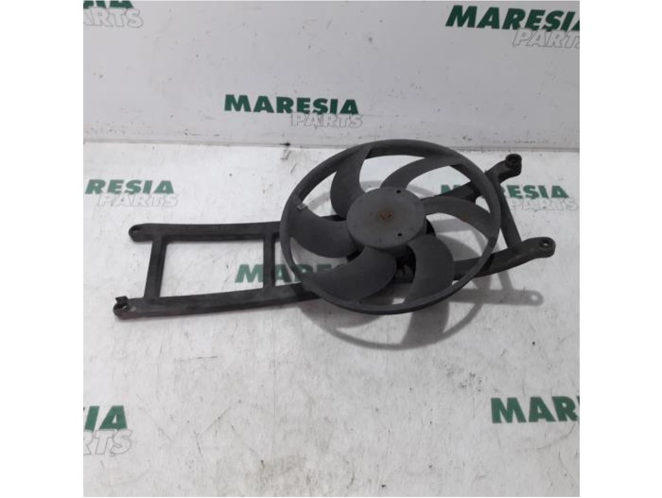 Fiat - Panda - Kühlgebläse Motor
