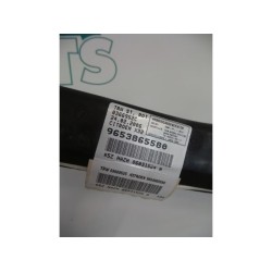 Citroen - C5 - Airbag Himmel links