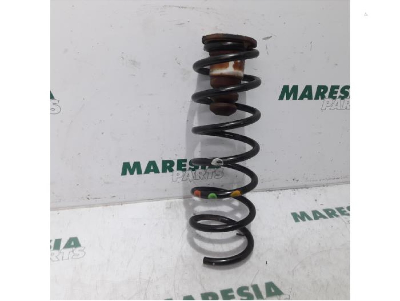 Citroen - Berlingo - Rear coil spring