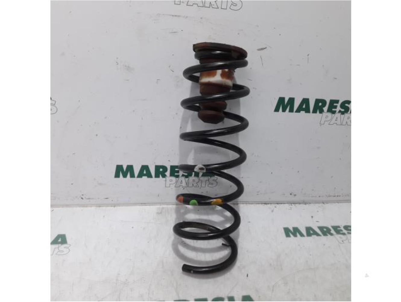 Citroen - Berlingo - Rear coil spring