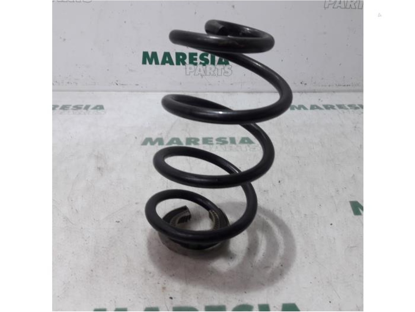 Renault - Modus - Rear coil spring