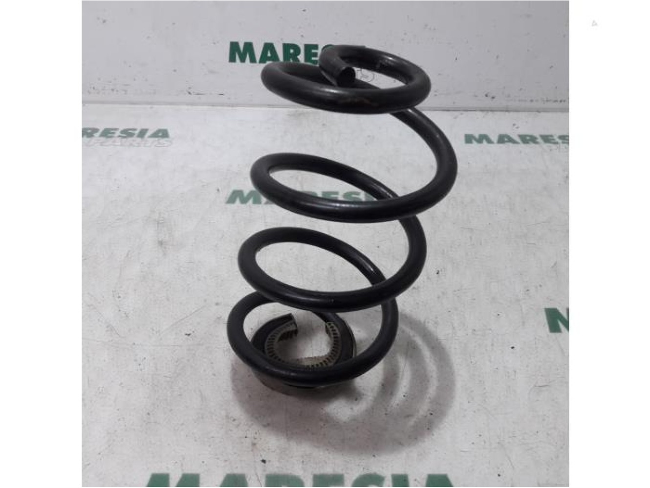 Renault - Modus - Rear coil spring