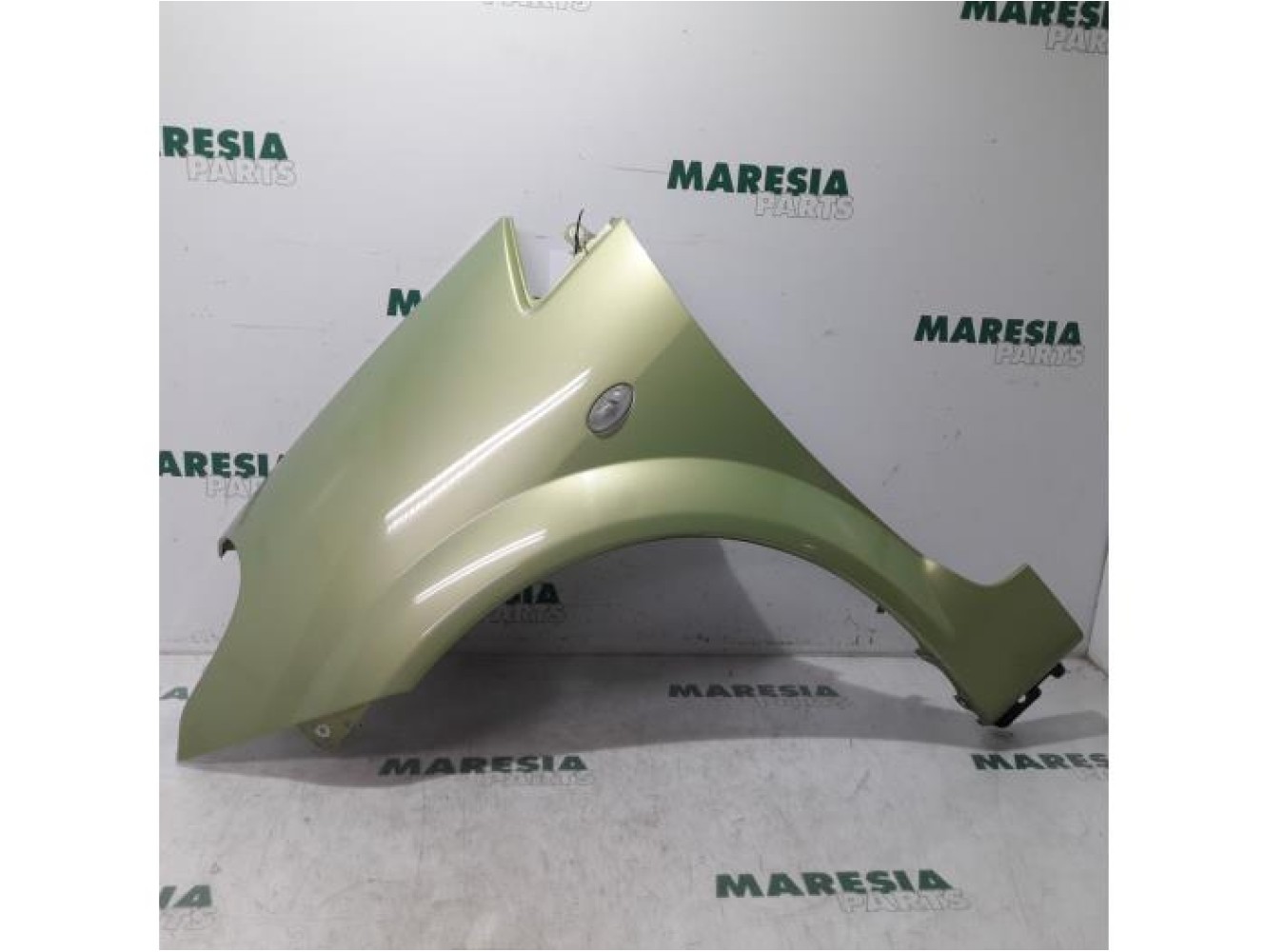 Citroen - Pluriel - Front wing, left