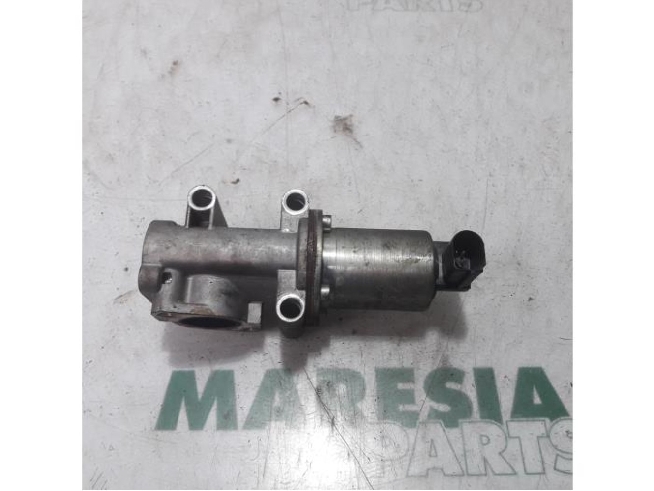 Fiat - Punto - EGR valve