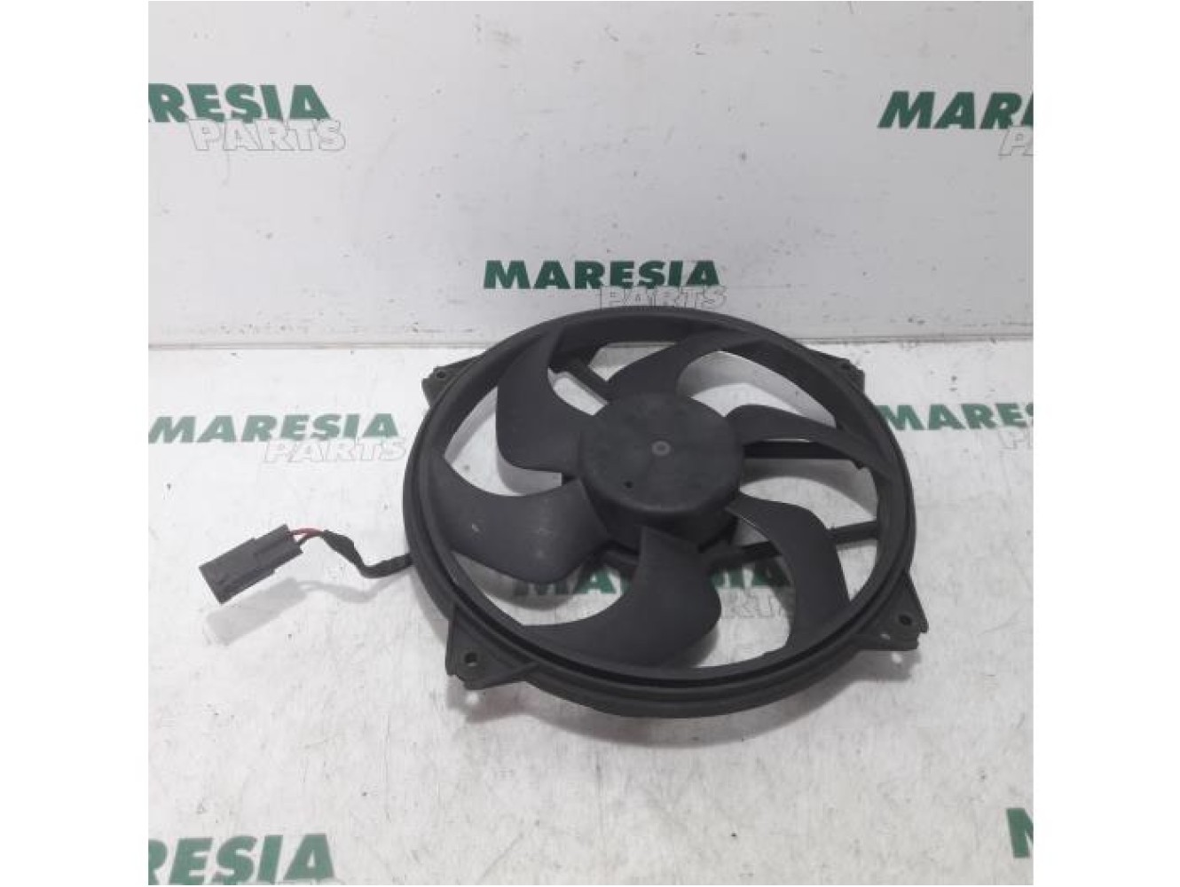 Peugeot - 307 - Fan motor