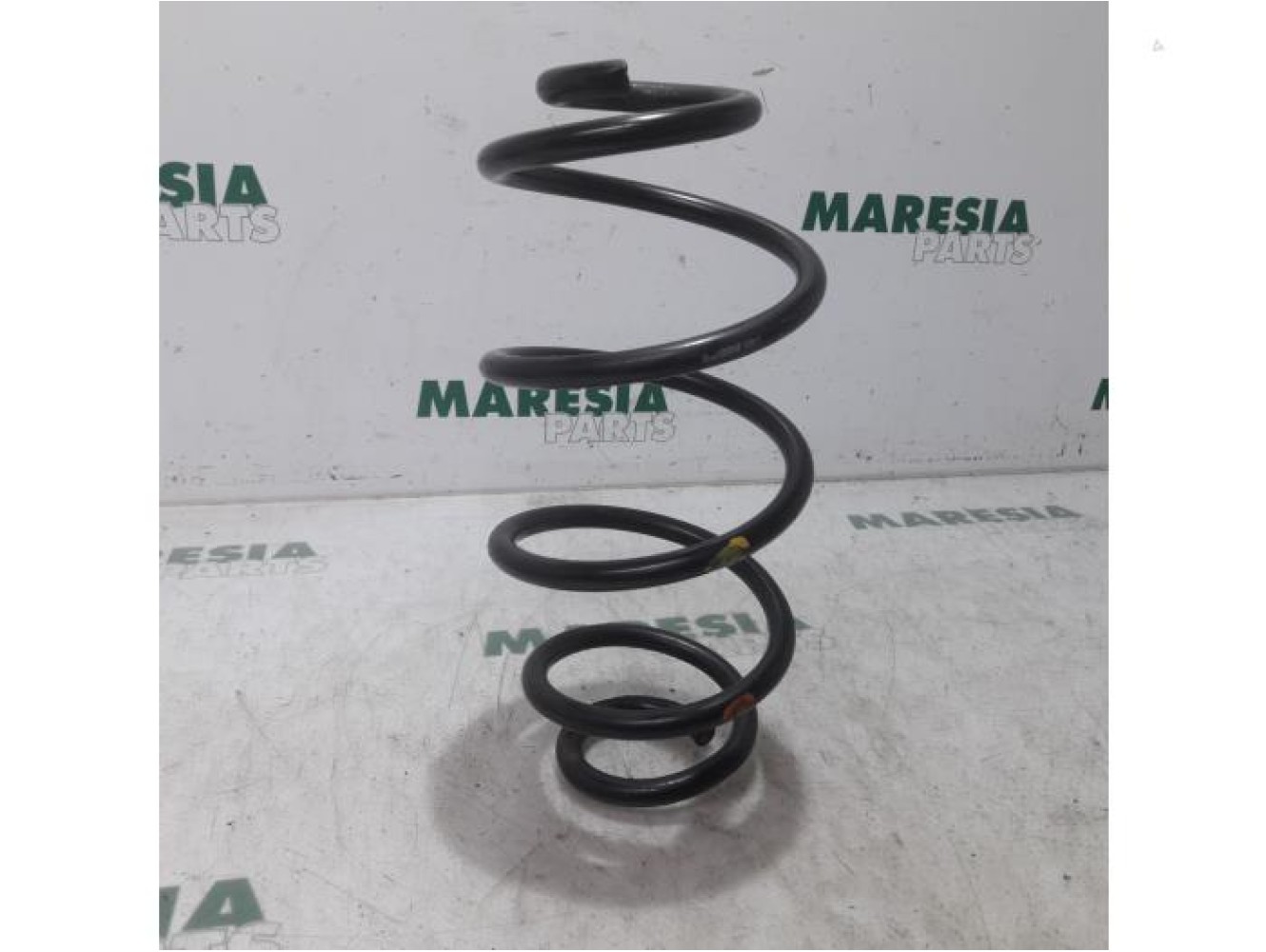 Fiat - Doblo - Rear coil spring