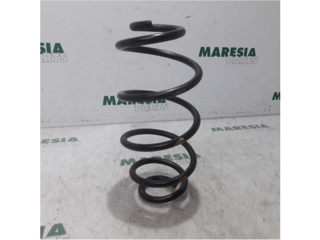 Fiat - Doblo - Rear coil spring