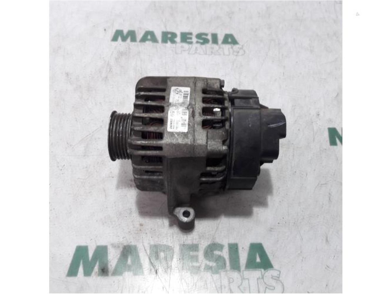 Fiat - Punto - Dynamo