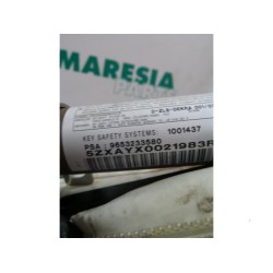Peugeot - 307 - Airbag Himmel links