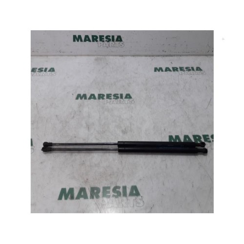 Fiat - Panda - Set of tailgate gas struts
