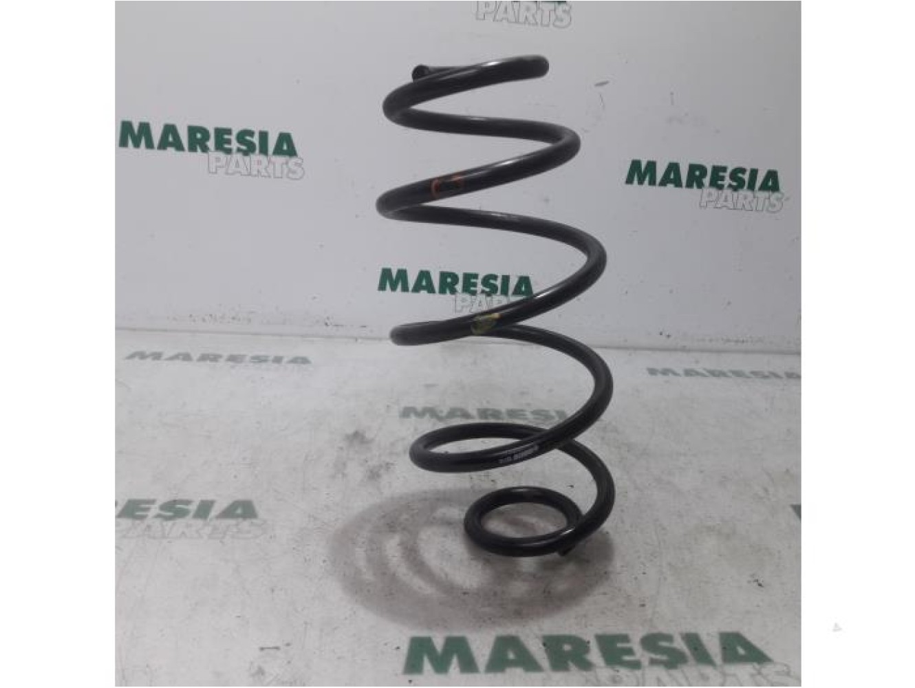 Fiat - Doblo - Rear coil spring