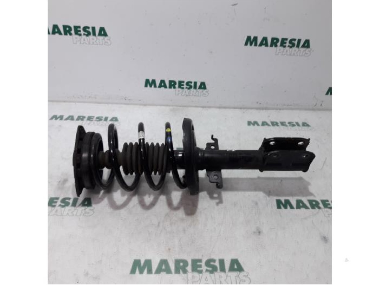 Renault - Megane Scenic - Front shock absorber rod, right