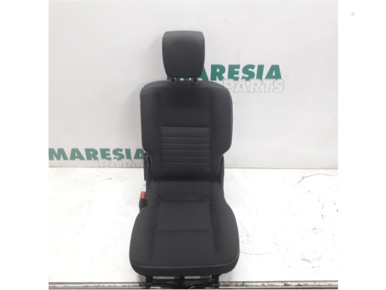 Renault - Megane Scenic - Rear seat