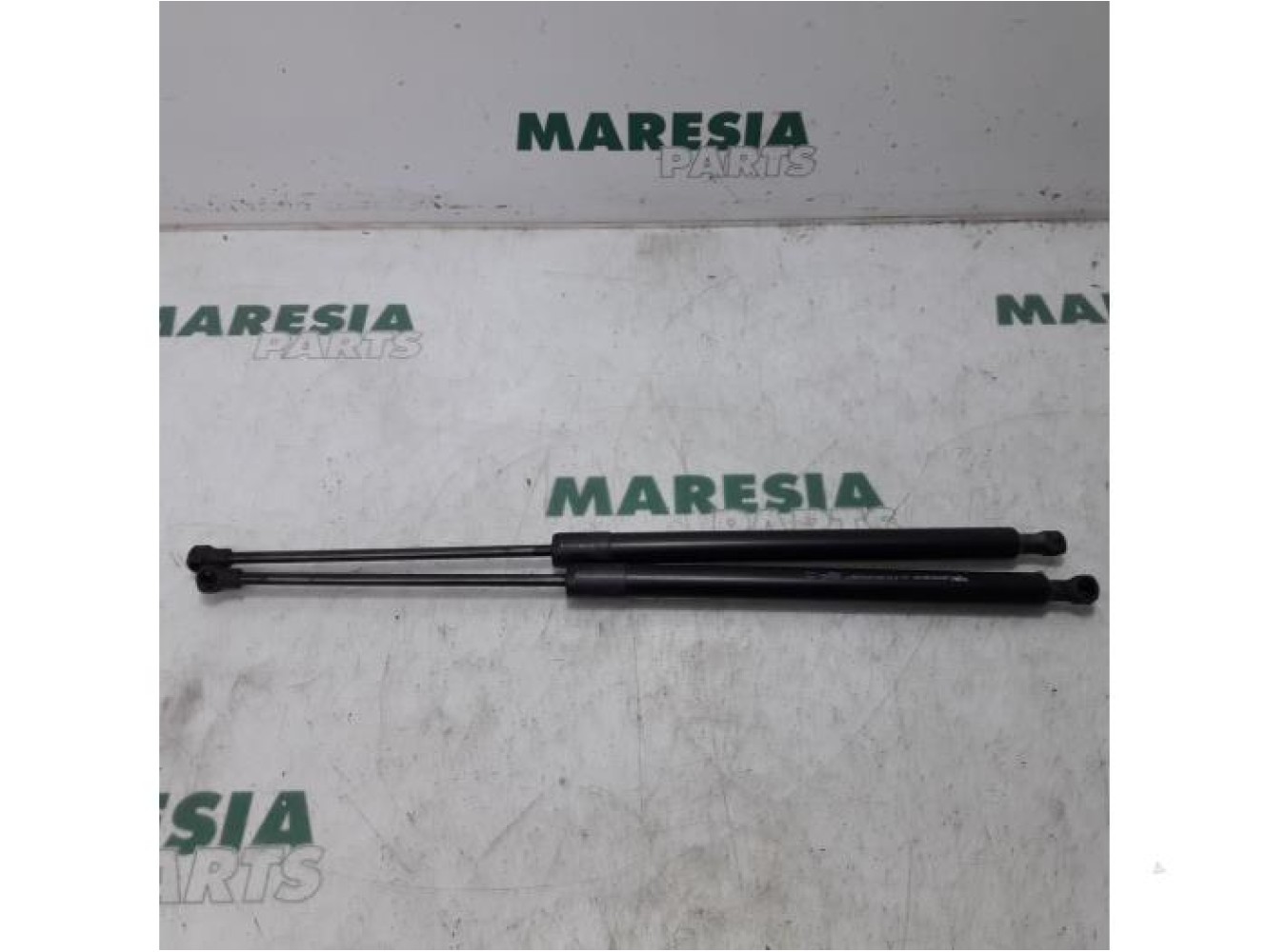 Renault - Megane Scenic - Set of tailgate gas struts