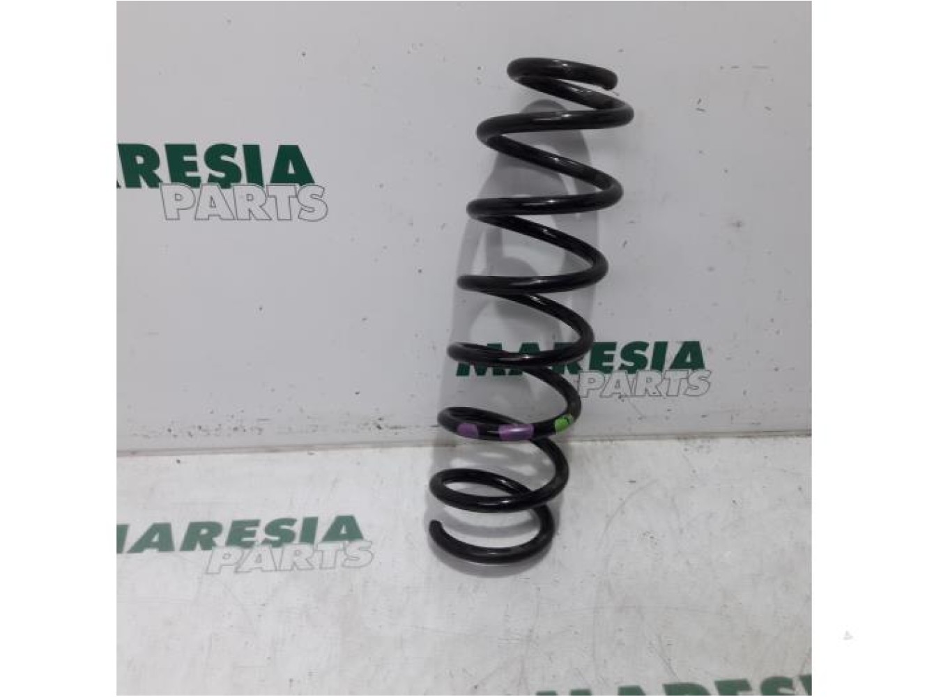 Renault - Megane Scenic - Rear coil spring