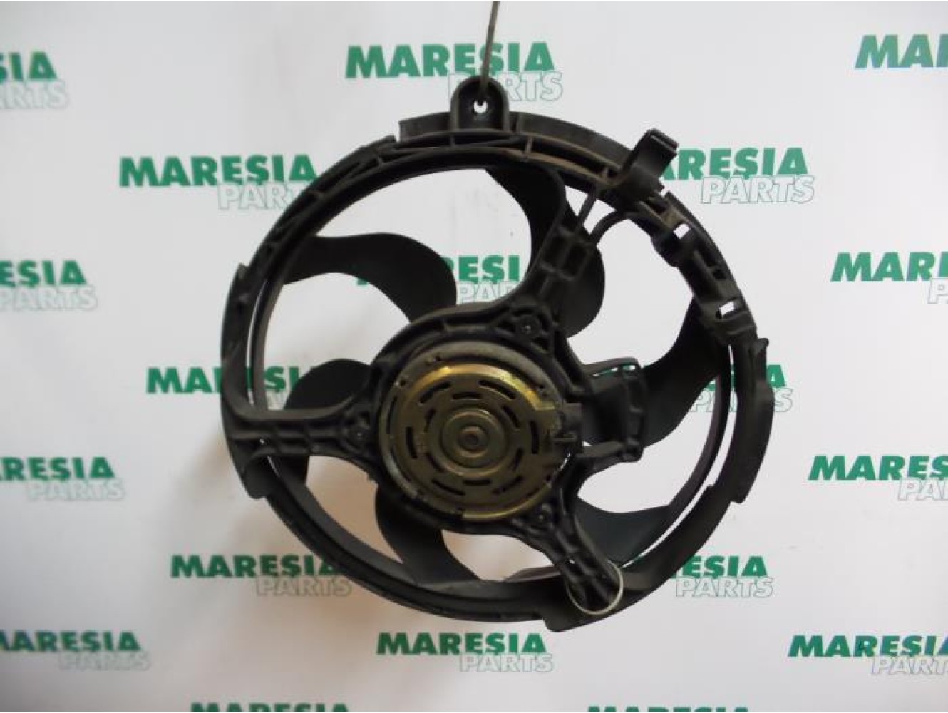 Fiat - Stilo - Koelvin Motor