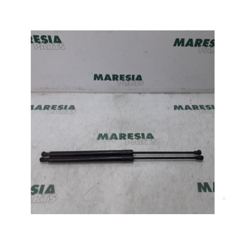 Citroen - C3 Picasso - Set of tailgate gas struts