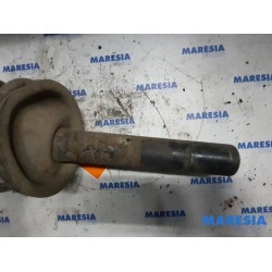 Peugeot - 607 - Front shock absorber rod, left