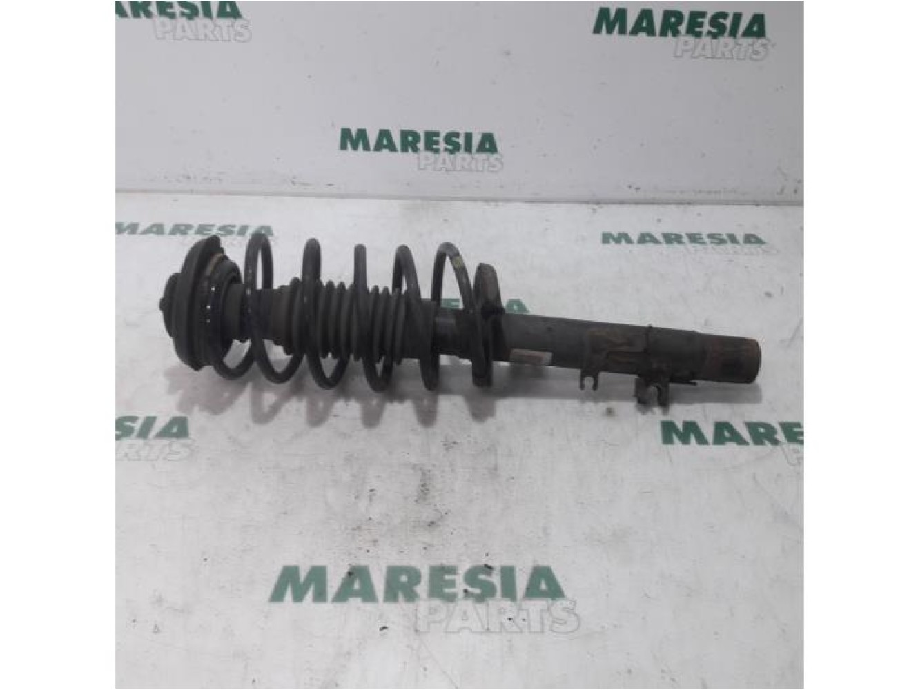 Citroen - Pluriel - Front shock absorber rod, right