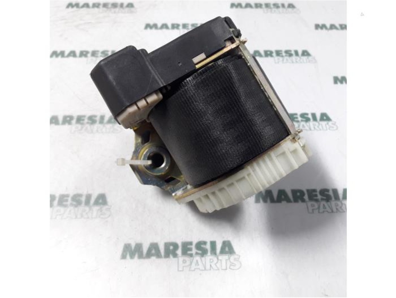 Fiat - Stilo - Sicherheitsgurt links hinten