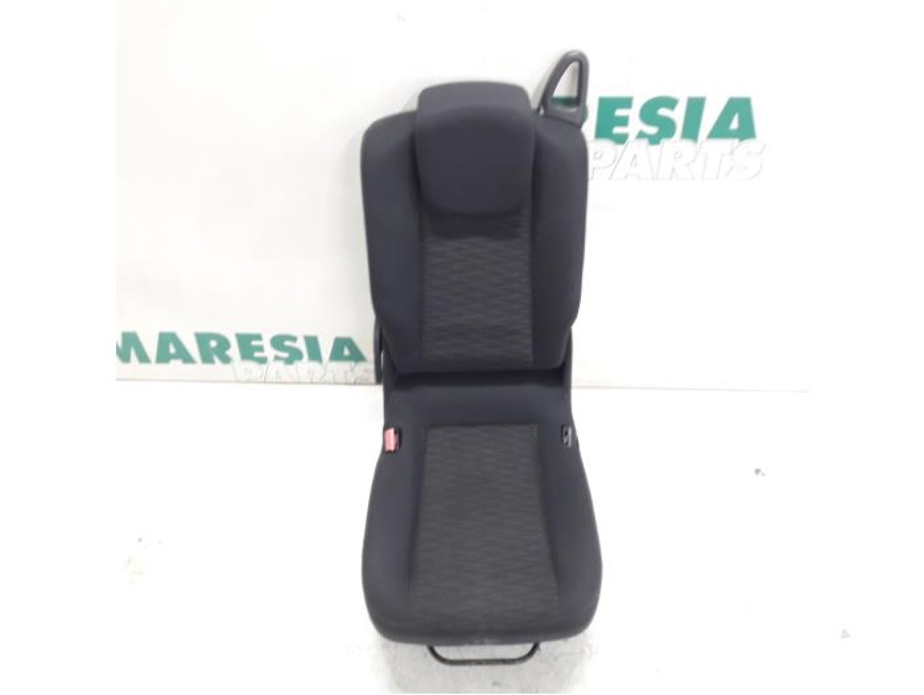 Renault - Megane Scenic - Rear seat
