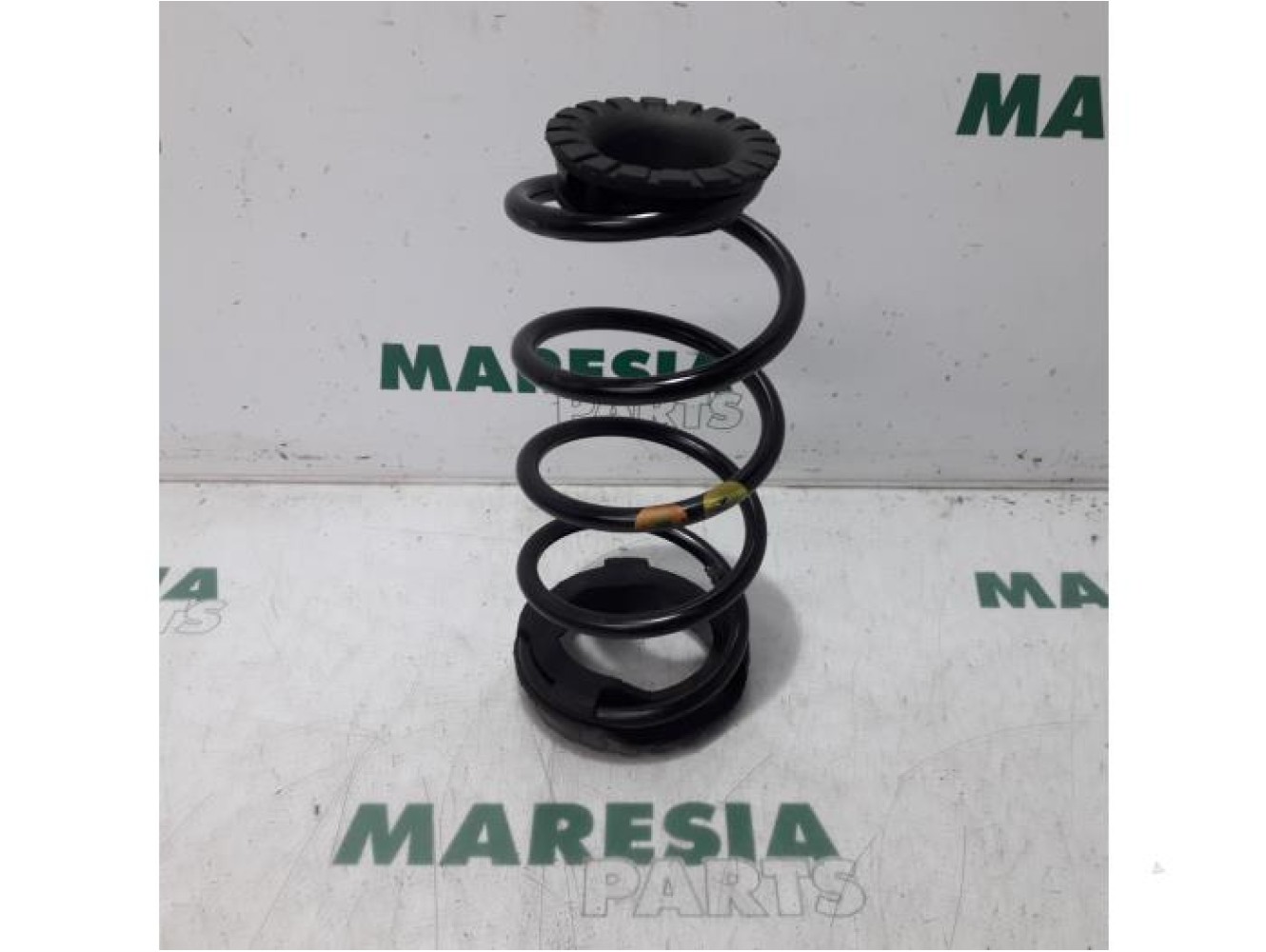 Fiat - Punto - Rear coil spring