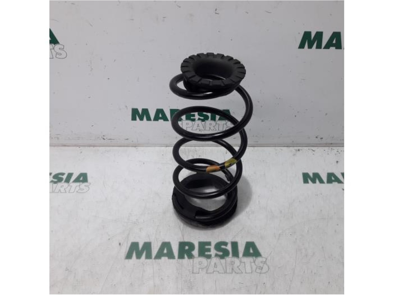 Fiat - Punto - Rear coil spring