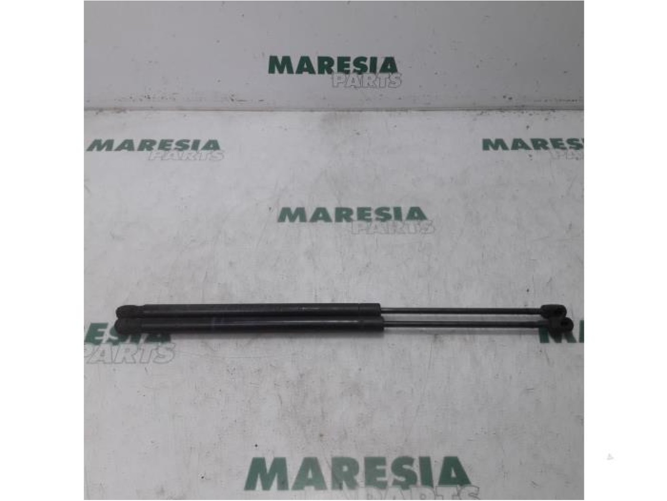 Renault - Megane Scenic - Set of tailgate gas struts