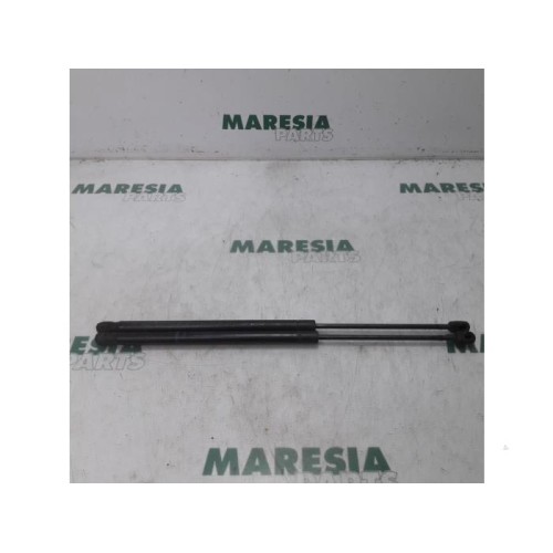 Renault - Megane Scenic - Set of tailgate gas struts