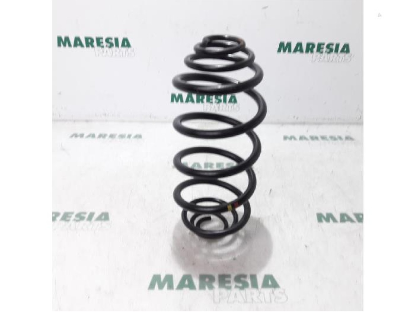 Renault - Kangoo - Rear coil spring