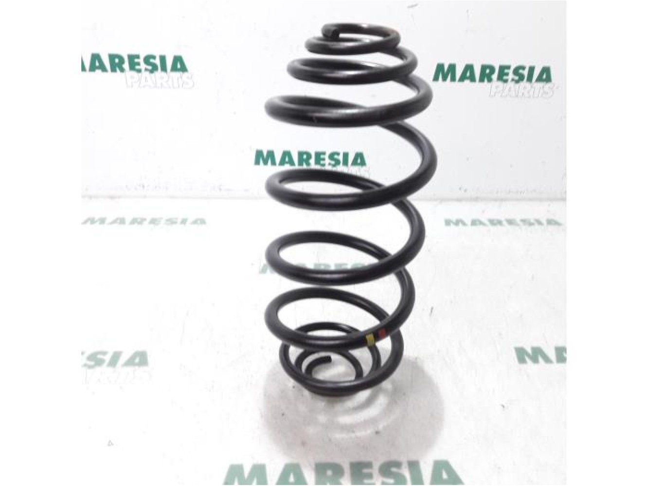 Renault - Kangoo - Rear coil spring