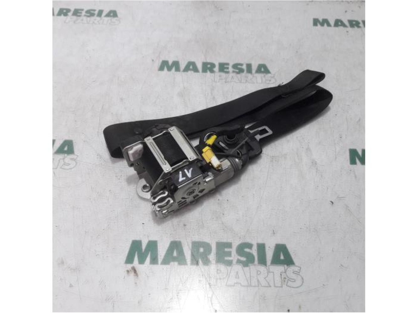 Alfa Romeo - GT - Sicherheitsgurt links vorne