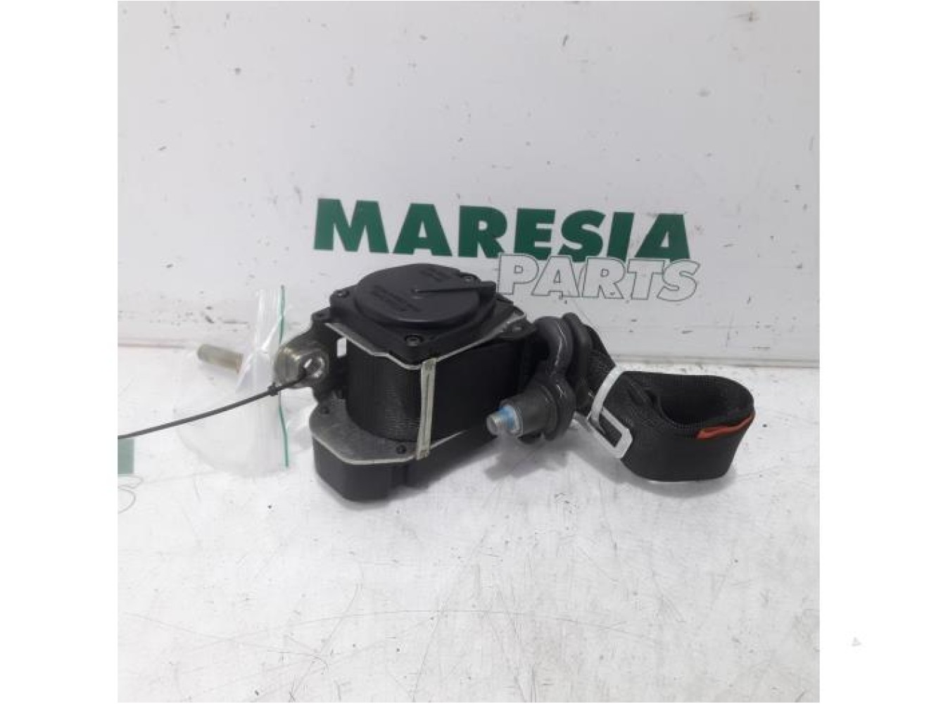 Alfa Romeo - GT - Sicherheitsgurt links hinten